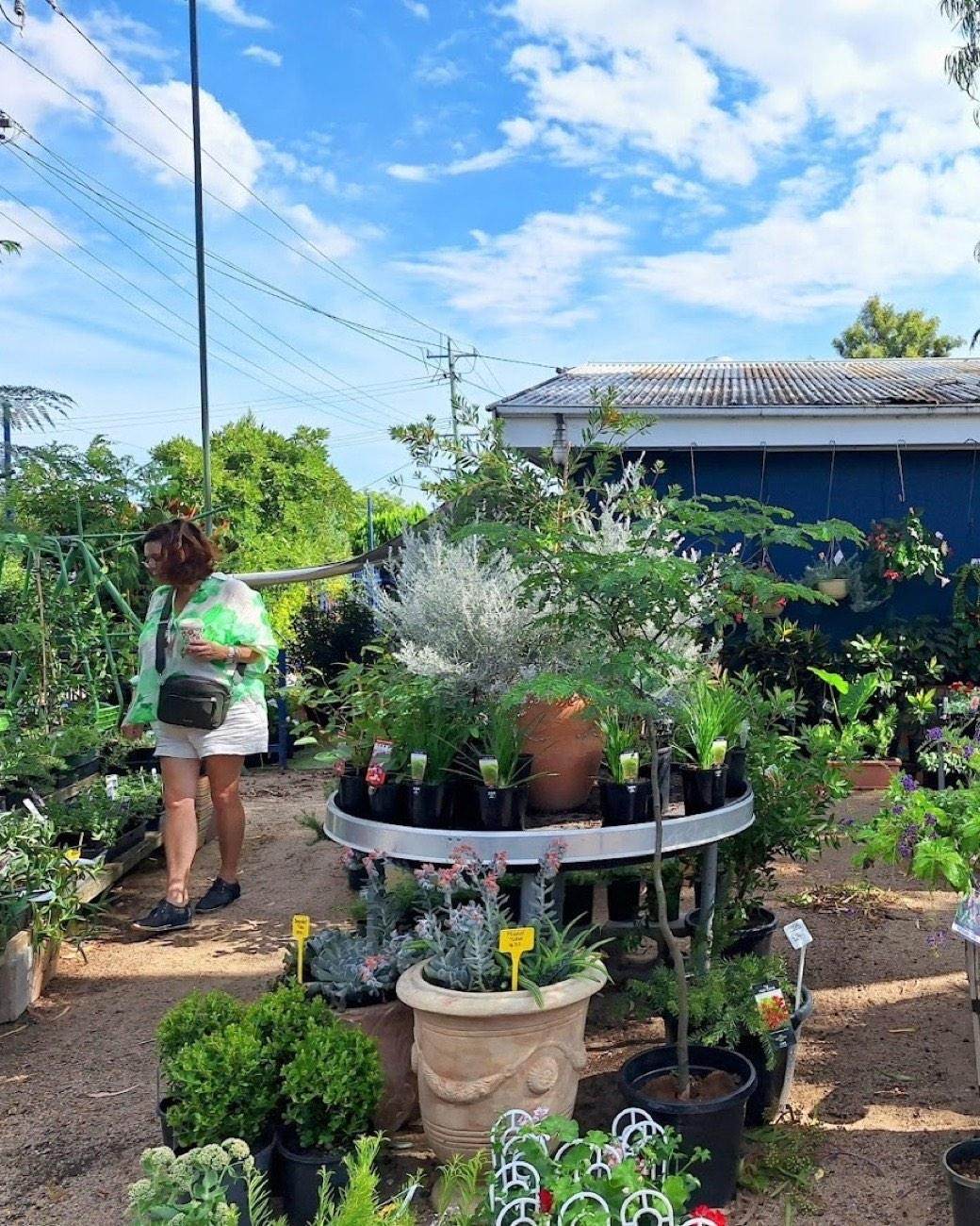 A customer looking over a round display table of potted plants beside terracotta pots at the nursery