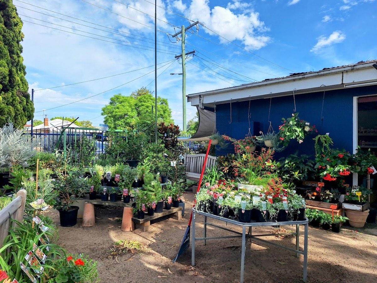 Display tables of flowering plants in pots beside the nursery's blue building