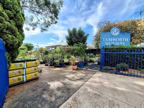 The blue Tamworth Nursery sign beside the open front gate, with pallets of mulch and potted stock in the yard