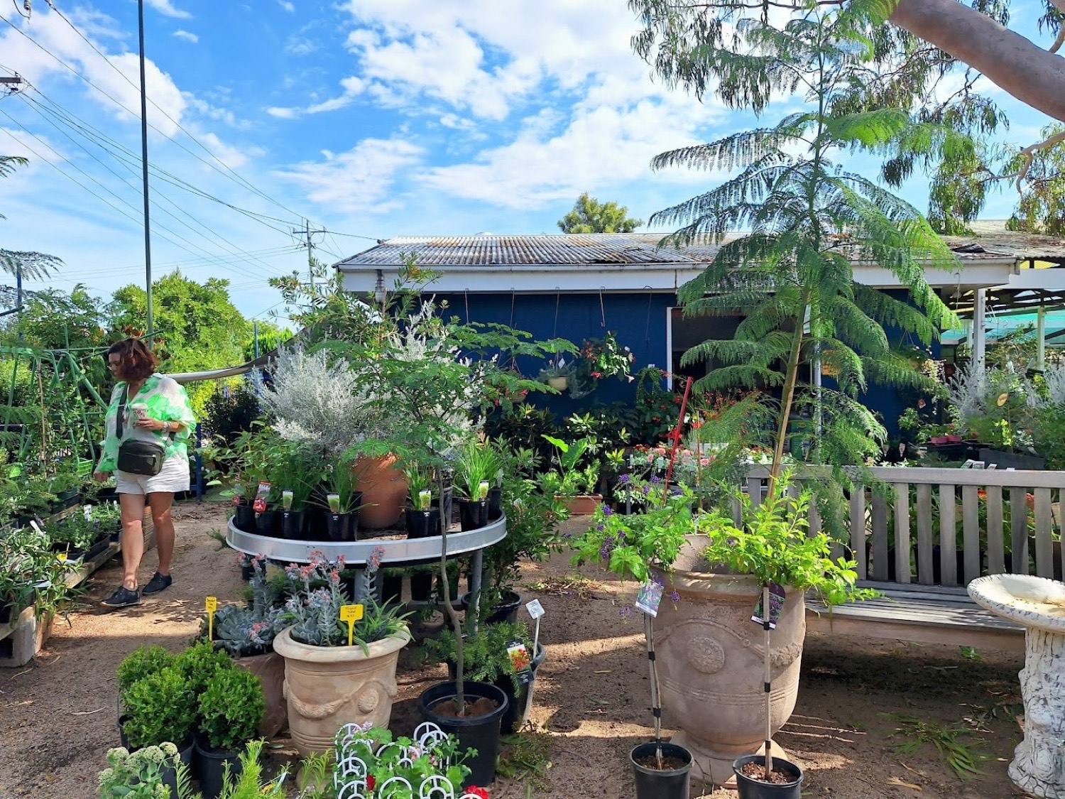 Terracotta pots and a stone bird bath on display among potted plants